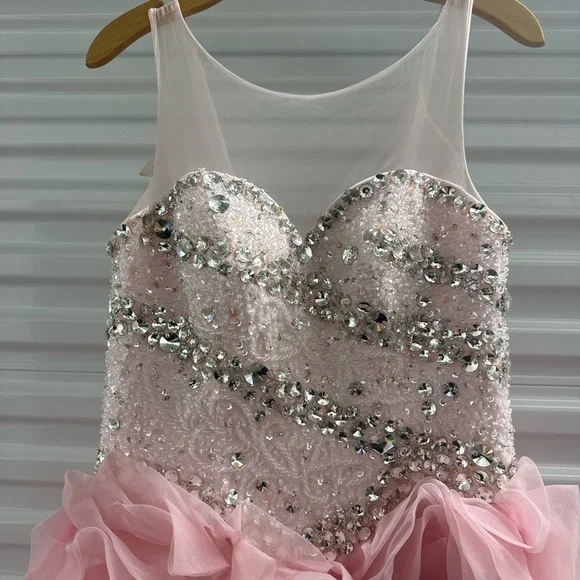 Blush Pink Beaded Ball Gown with Rosette Skirt – Medium Fit - Picture 5 of 16